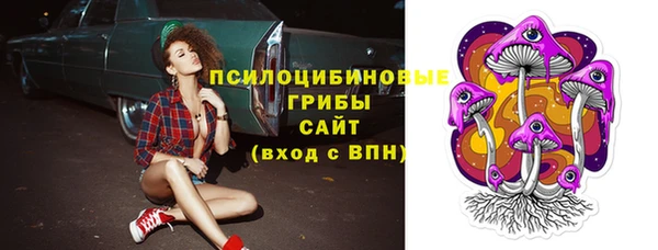 ешки Семикаракорск