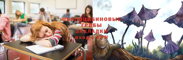 хмурый Волоколамск
