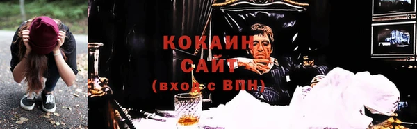 молекула духа Семилуки