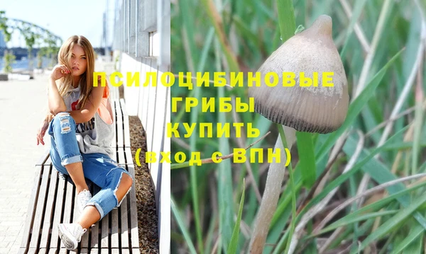 гидропоника Володарск
