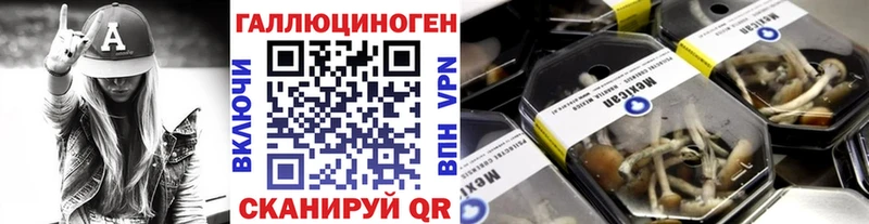 hydra зеркало  Павловск  Галлюциногенные грибы Cubensis 
